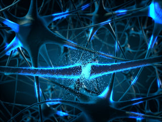 Vitamin B and Nerve Repair